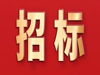 甘肅正立建設(shè)投資（集團(tuán)）有限公司招標(biāo)公告